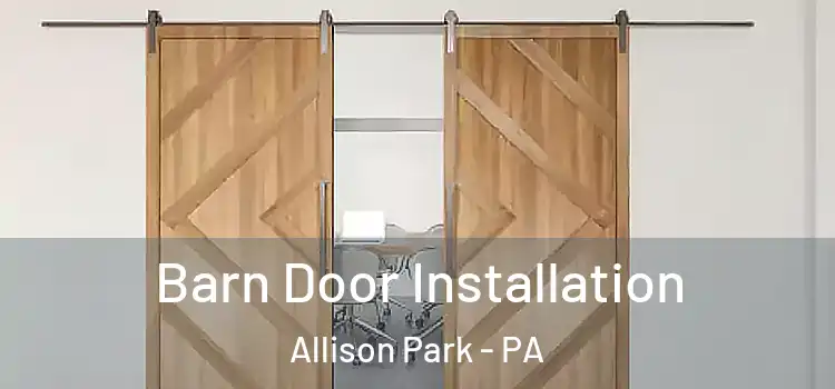  Barn Door Installation Allison Park - PA