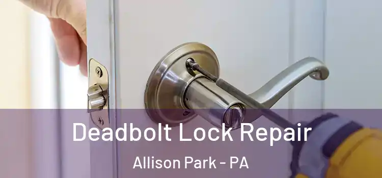  Deadbolt Lock Repair Allison Park - PA