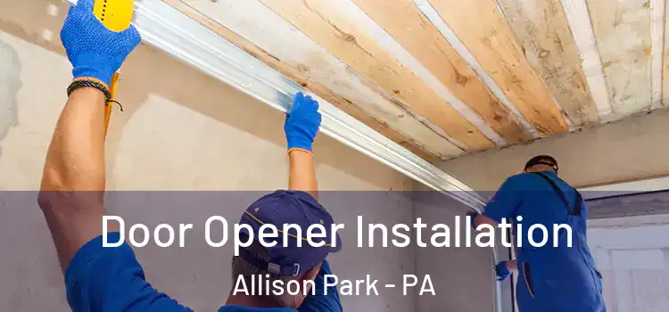  Door Opener Installation Allison Park - PA