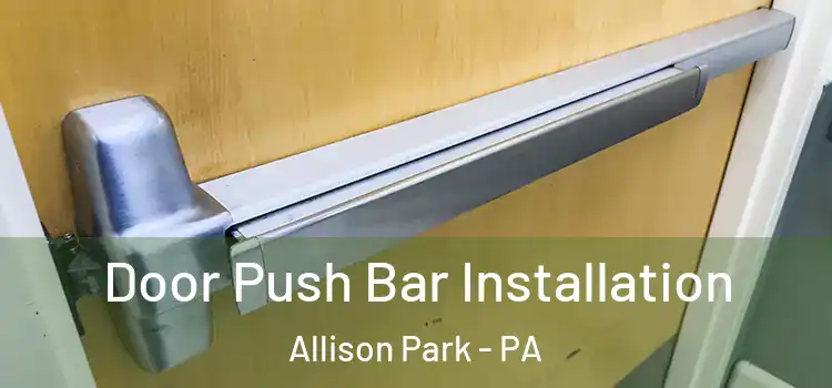  Door Push Bar Installation Allison Park - PA