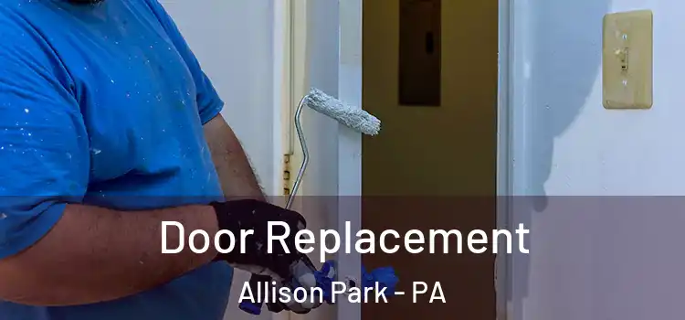 Door Replacement Allison Park - PA