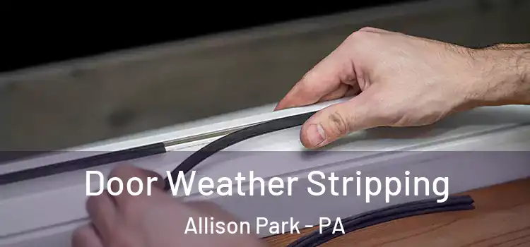 Door Weather Stripping Allison Park - PA