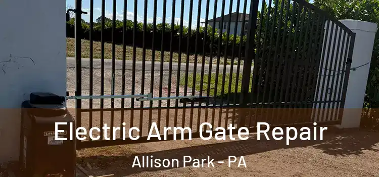Electric Arm Gate Repair Allison Park - PA
