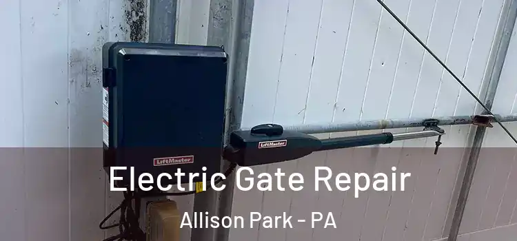  Electric Gate Repair Allison Park - PA