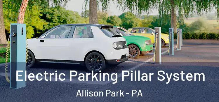  Electric Parking Pillar System Allison Park - PA