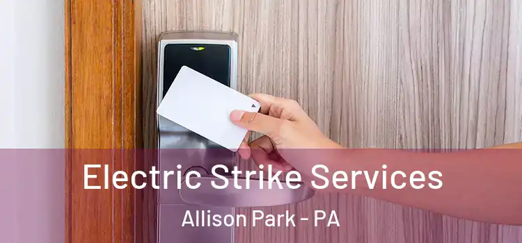  Electric Strike Services Allison Park - PA