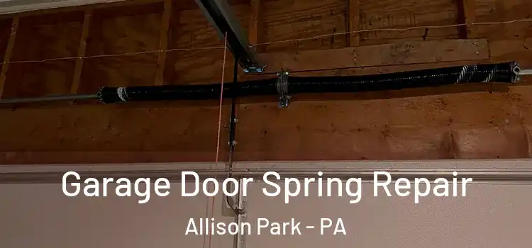  Garage Door Spring Repair Allison Park - PA