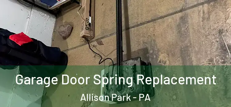  Garage Door Spring Replacement Allison Park - PA