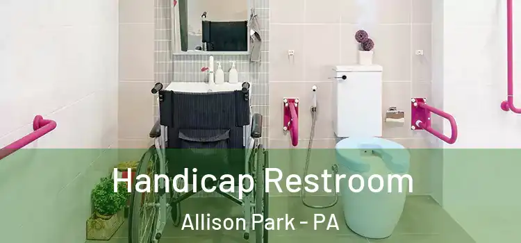 Handicap Restroom Allison Park - PA
