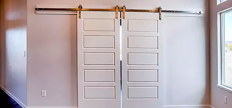 Glass Barn Door with Installation Hardware Kit Allison Park