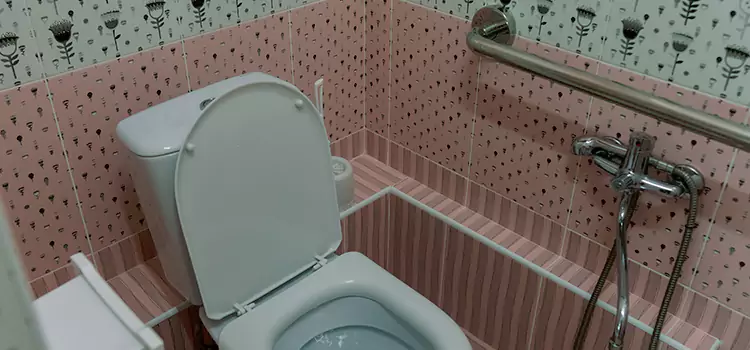 Meeting Diverse Needs With Accessible Restroom Solutions in Allison Park, PA