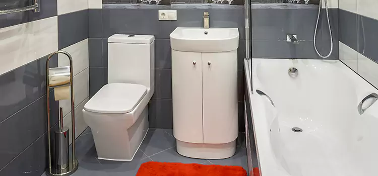 Hansgrohe Shaving Mirror Allison Park