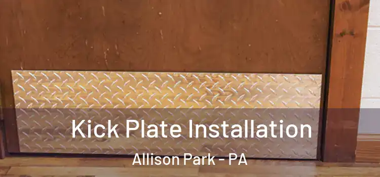  Kick Plate Installation Allison Park - PA