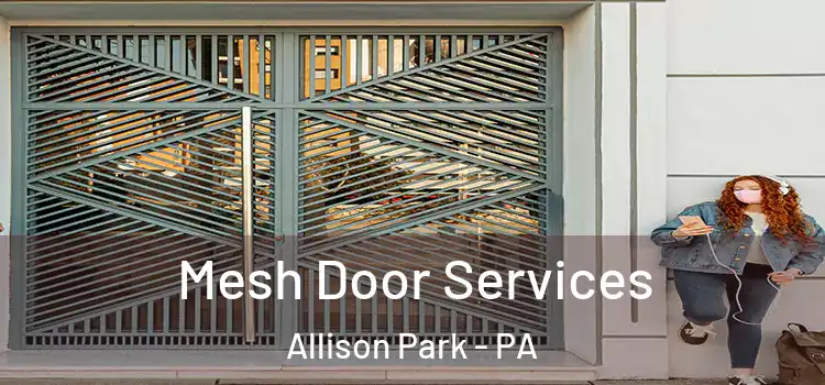  Mesh Door Services Allison Park - PA