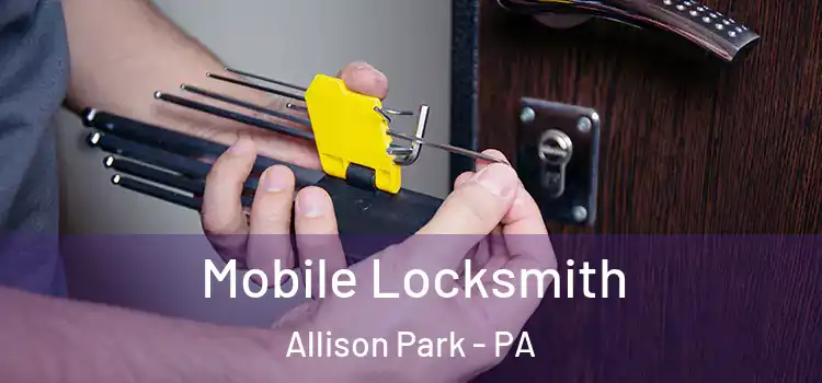  Mobile Locksmith Allison Park - PA