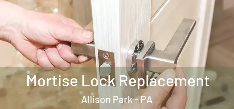 Mortise Lock Replacement Allison Park - PA