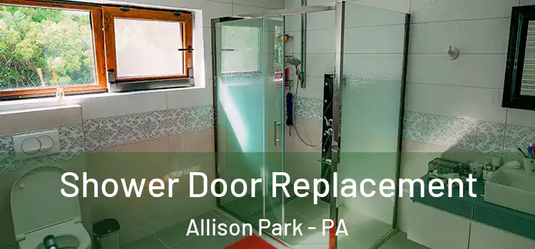 Shower Door Replacement Allison Park - PA