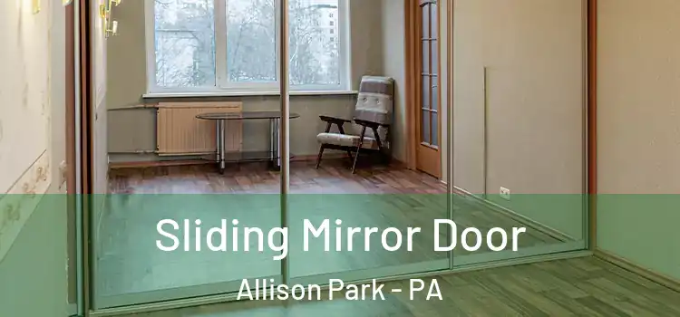  Sliding Mirror Door Allison Park - PA