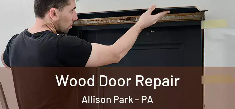  Wood Door Repair Allison Park - PA